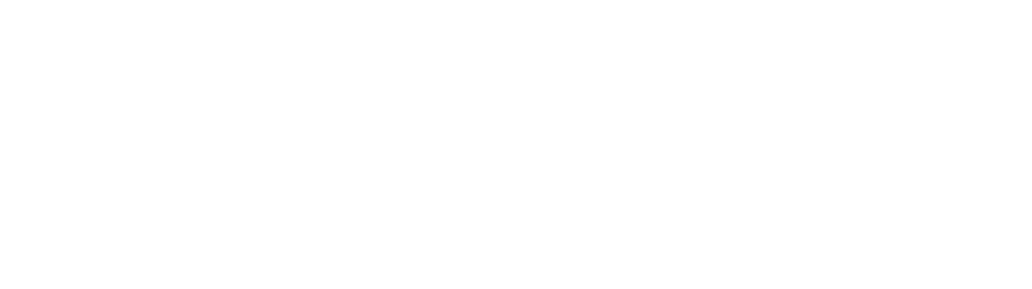 Protego Partners Ltd